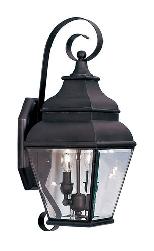 Exeter 2 Light 22 inch Bronze Outdoor Wall Lantern