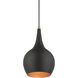 Andes 1 Light 8 inch Black with Antique Brass Accents Mini Pendant Ceiling Light