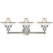Edison Athens 3 Light 24 inch Brushed Satin Nickel Bath Vanity Light Wall Light in Seedy Glass