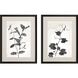 Florals Collection Black Framed Art