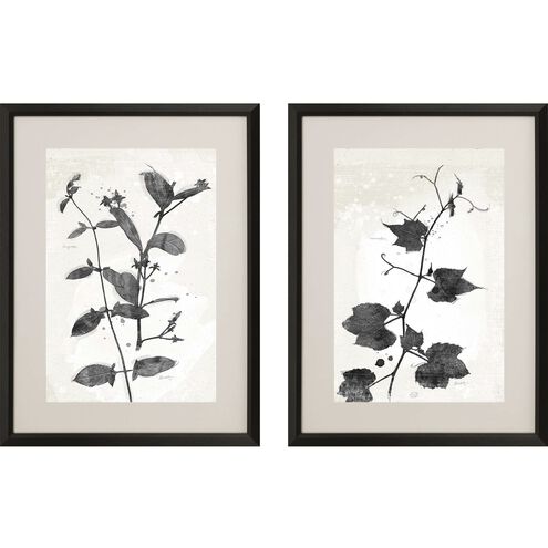 Florals Collection Black Framed Art