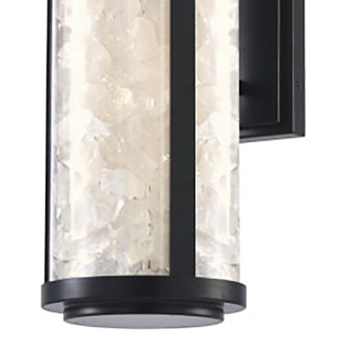 Great Outdoors Salt Creek LED 20.25 inch Coal Outdoor Wall Sconce