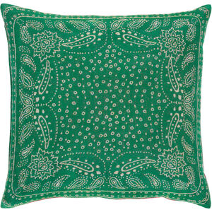 Indira 20 X 20 inch Green and Grey Pillow Cover