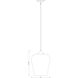 Joliet 1 Light 12 inch Chrome Pendant Ceiling Light