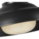 Palmetto 1 Light 14.5 inch Urban Bronze Pendant Ceiling Light