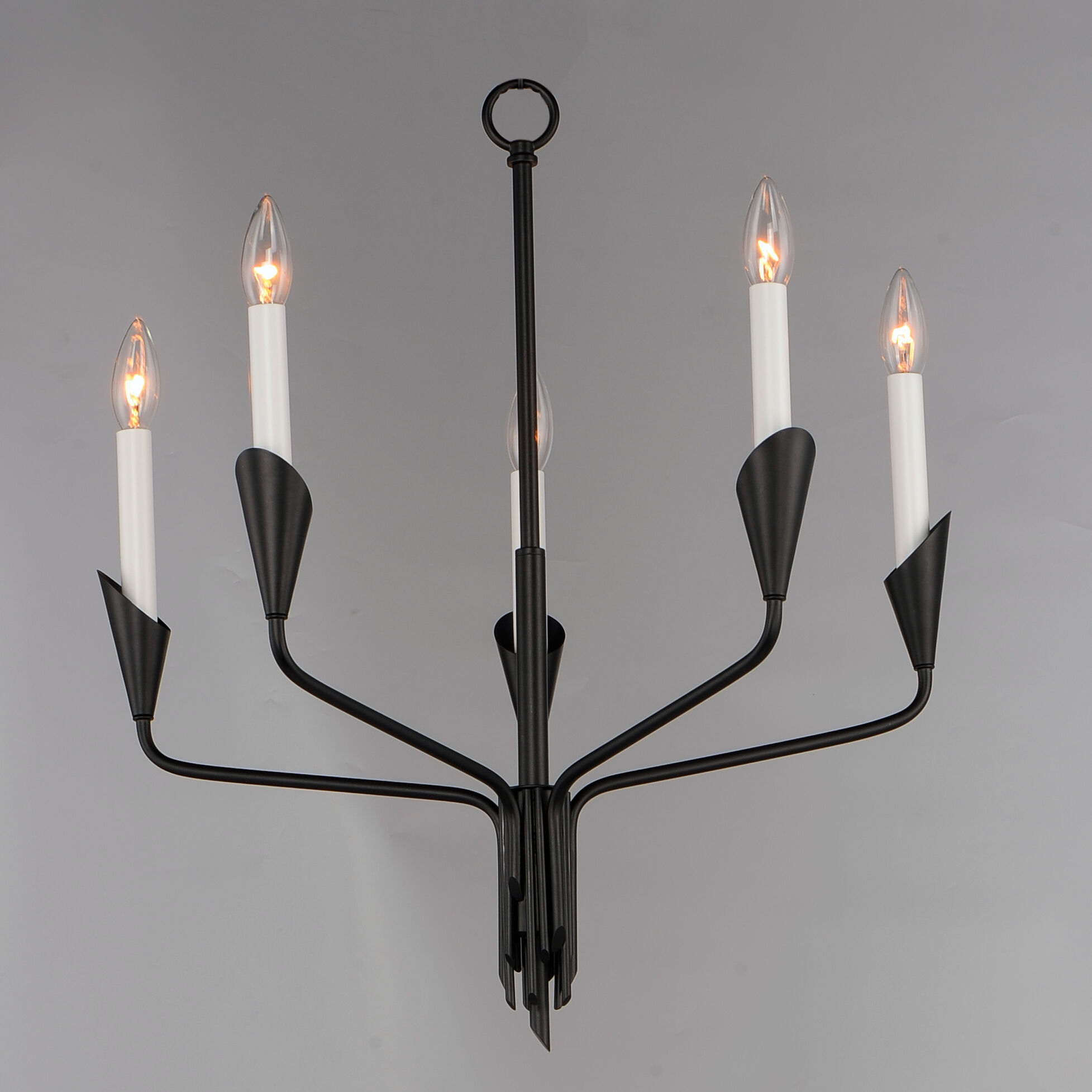 Calyx 5 Light 22 inch Black Chandelier Ceiling Light