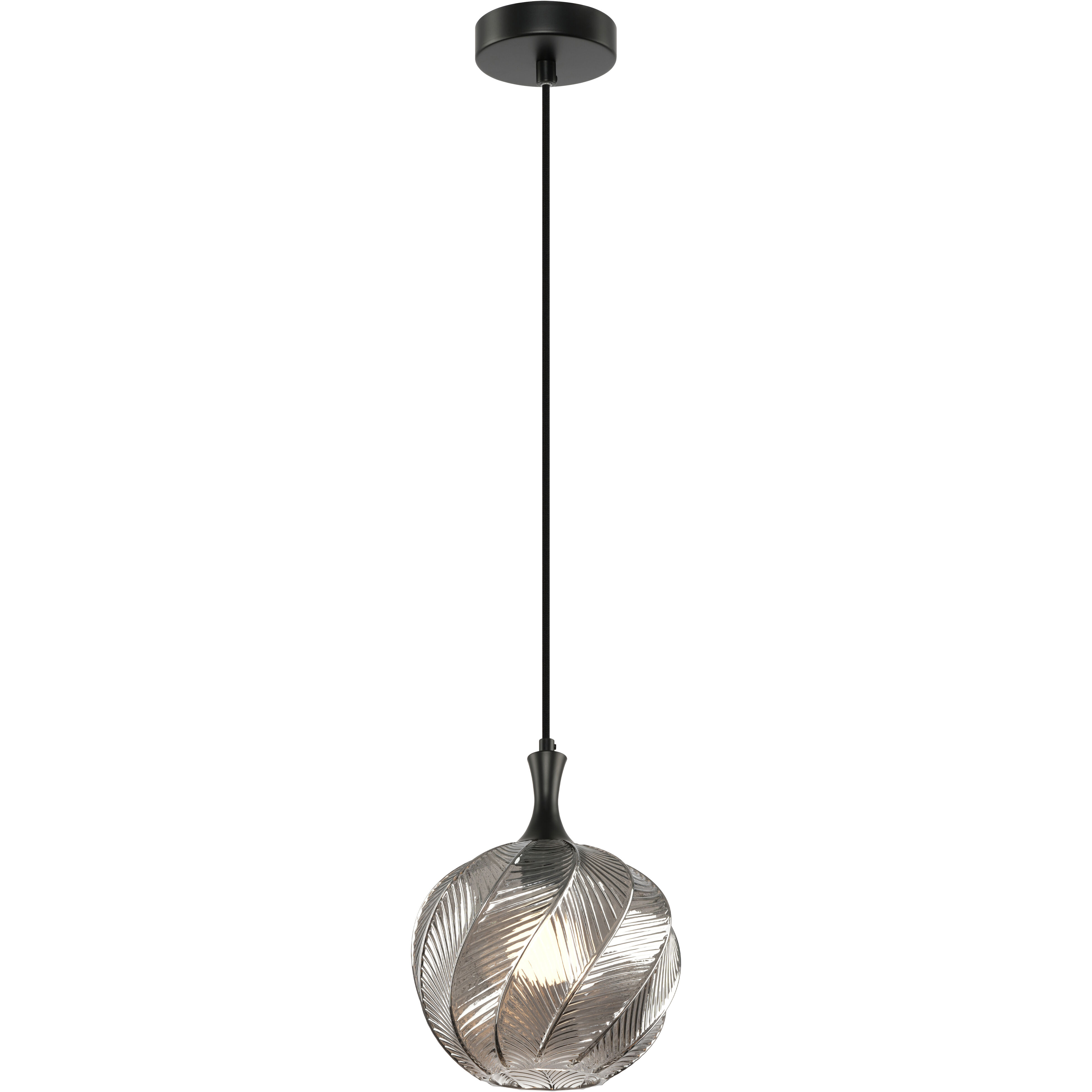 Eesha 1 Light 9 inch Matte Black and Smoked Glass Pendant Ceiling Light
