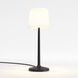 Ella 17.8 inch Matte Black Interior Table Light Portable Light