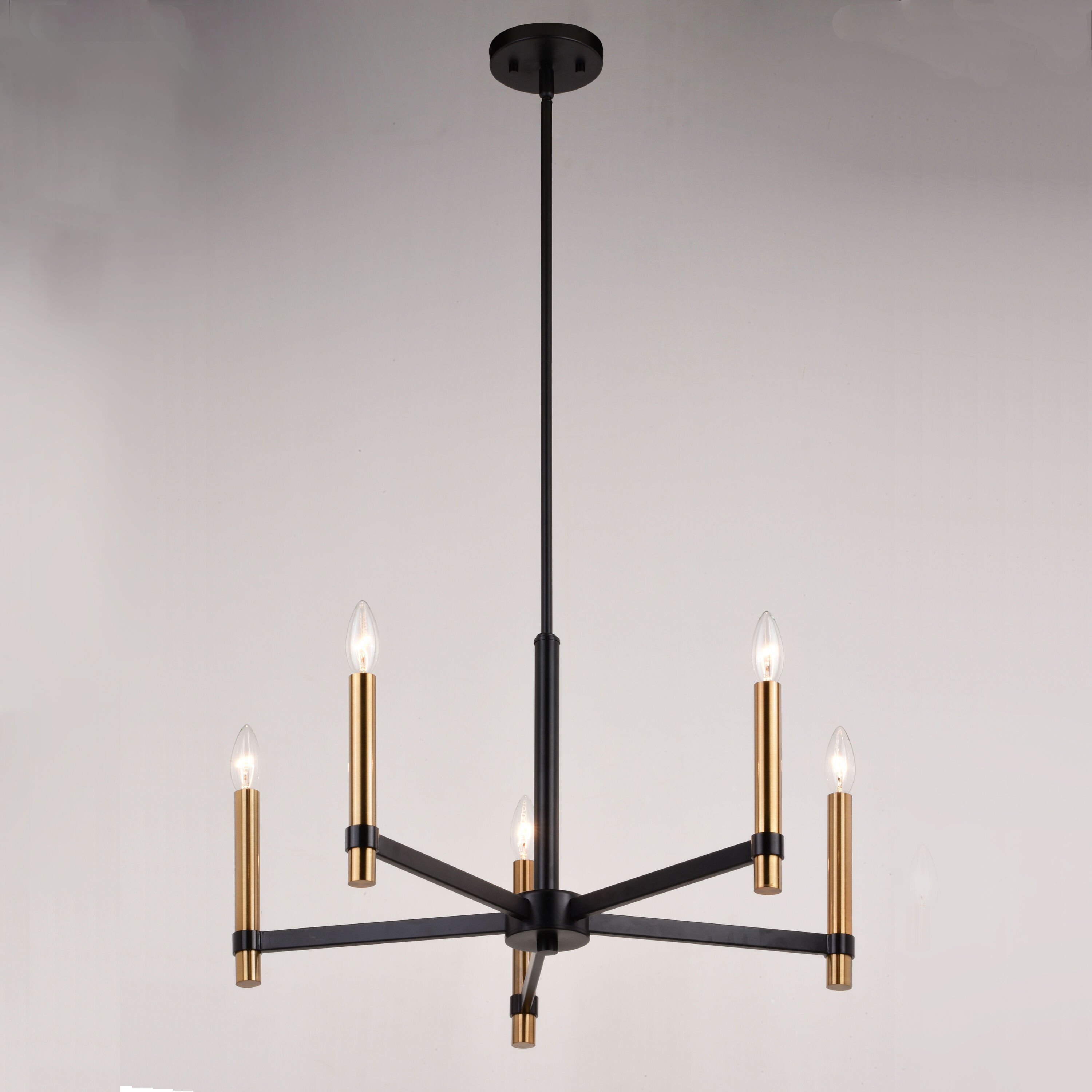 Damen LED 25 inch Matte Black and Natural Brass Chandelier Ceiling Light
