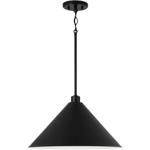 Alden 1 Light 18 inch Matte Black Pendant Ceiling Light