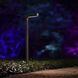 Balance 12 7 watt Bronze Path and Area Light, Colorscaping
