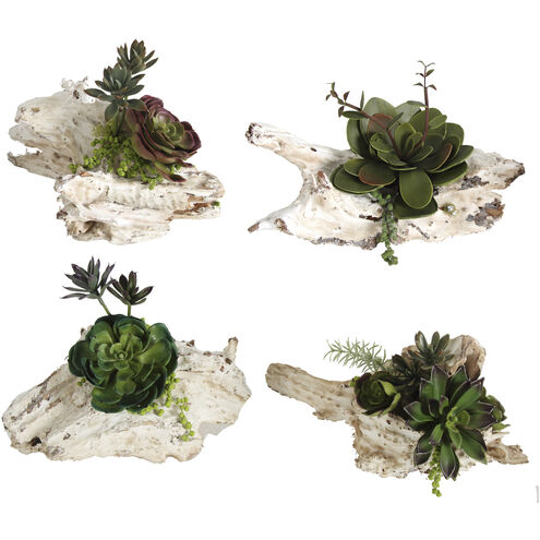 Maline Multi Color Faux Succulents, Set of 4