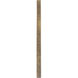 Holden 24 X 24 inch Gilded Gold Mirror