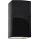 Ambiance LED 9.5 inch Gloss Black/Matte White Outdoor Wall Sconce