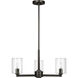 Fullton 3 Light 21.63 inch Midnight Black Chandelier Ceiling Light in Clear Glass