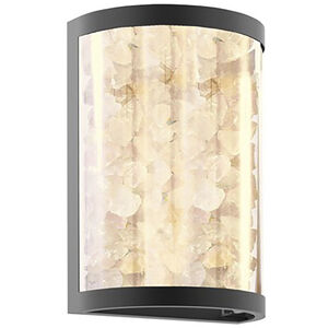 Great Outdoors Salt Creek LED 12.75 inch Coal Outdoor Wall Sconce