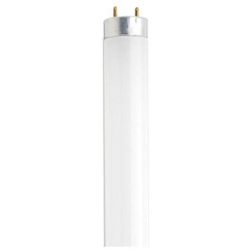 Lumos Fluorescent 30 watt 4100K Light Bulb, T8 Linear