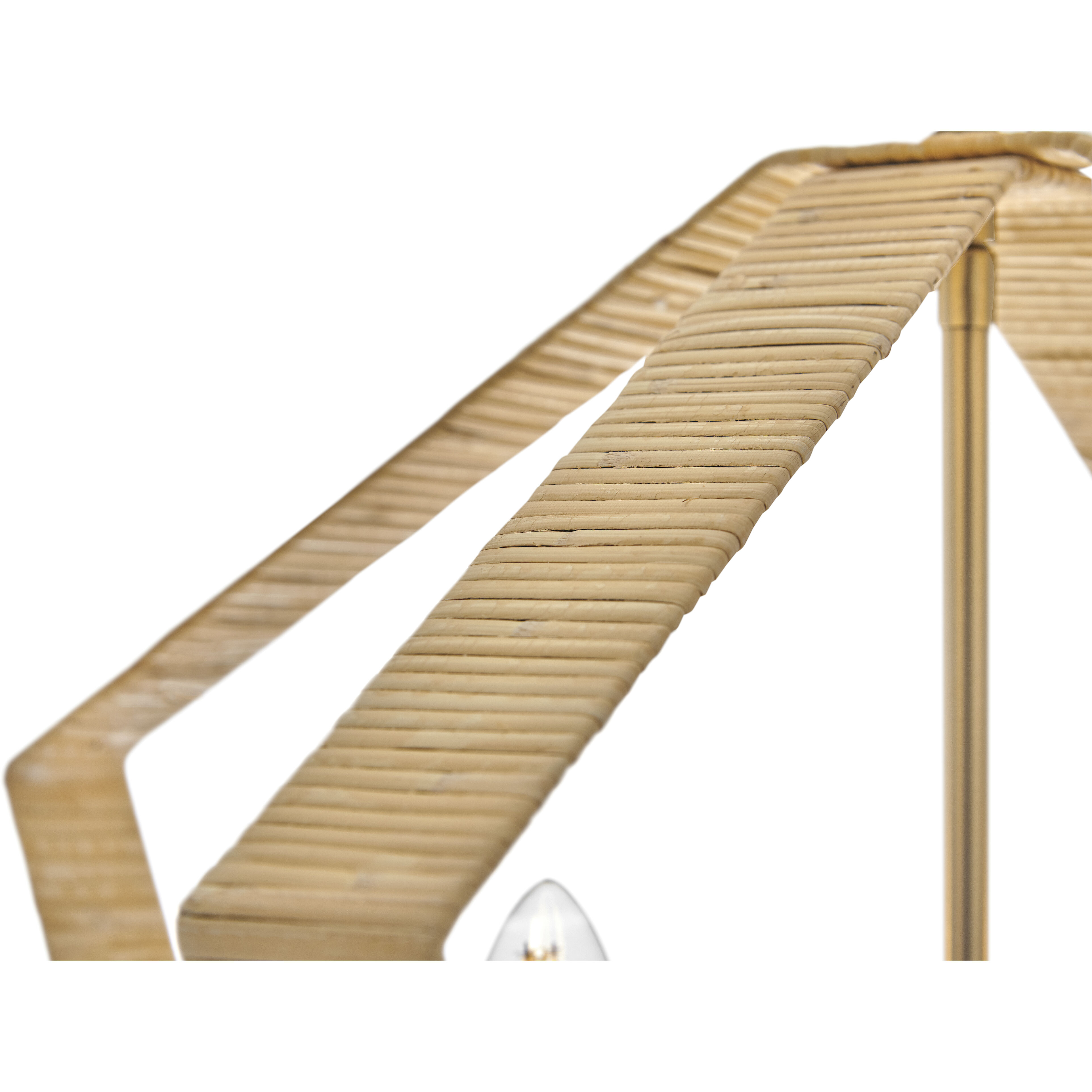 Sammi 2 Light 20 inch Lacquered Brass Pendant Ceiling Light