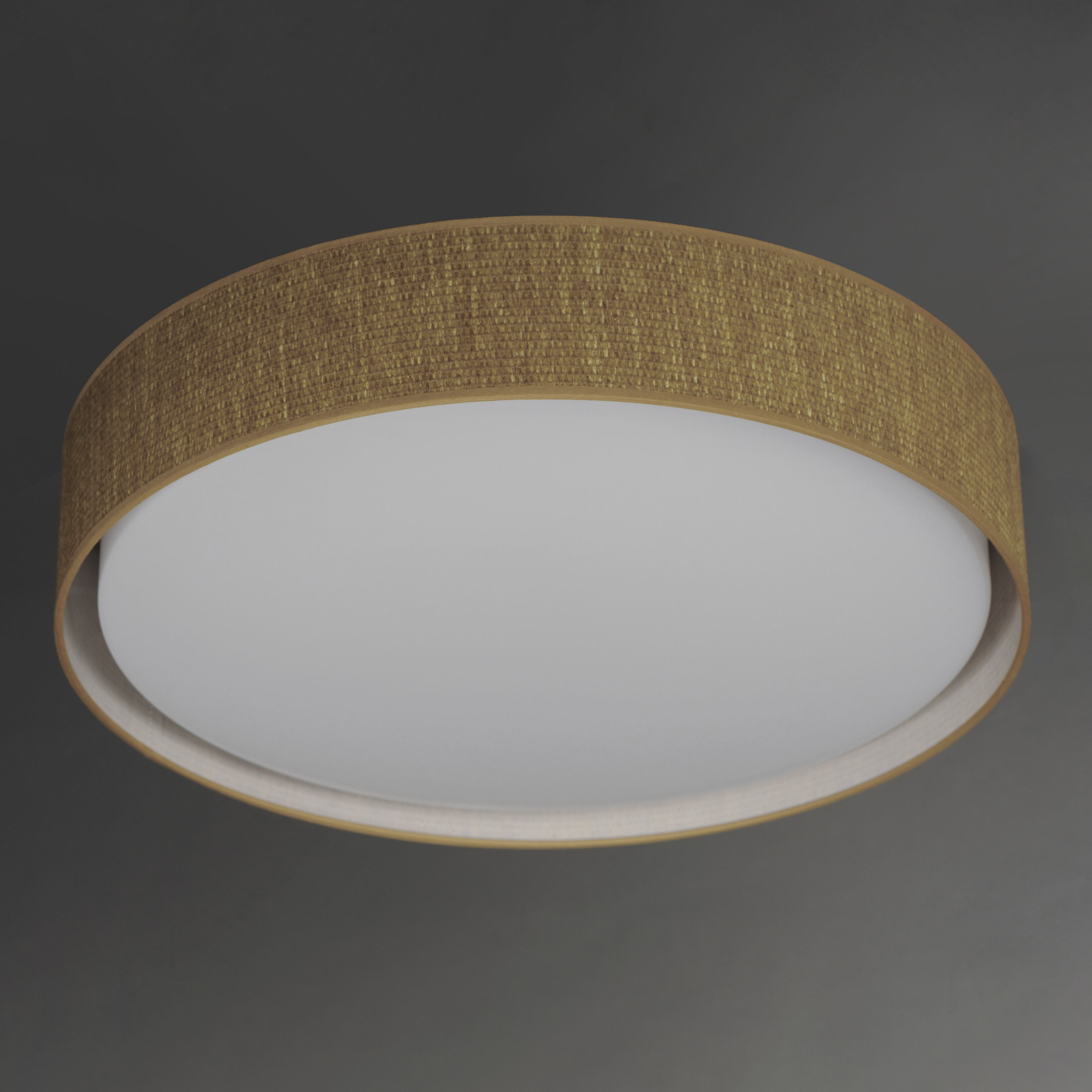 Prime LED 25 inch Flush Mount Ceiling Light