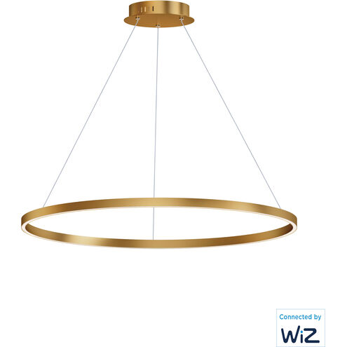 Groove 1 Light 39.50 inch Pendant