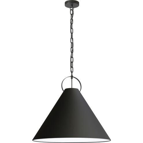 Princeton 1 Light 24 inch Matte Black Pendant Ceiling Light