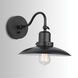 Dewitt 1 Light 10.25 inch Matte Black Sconce Wall Light