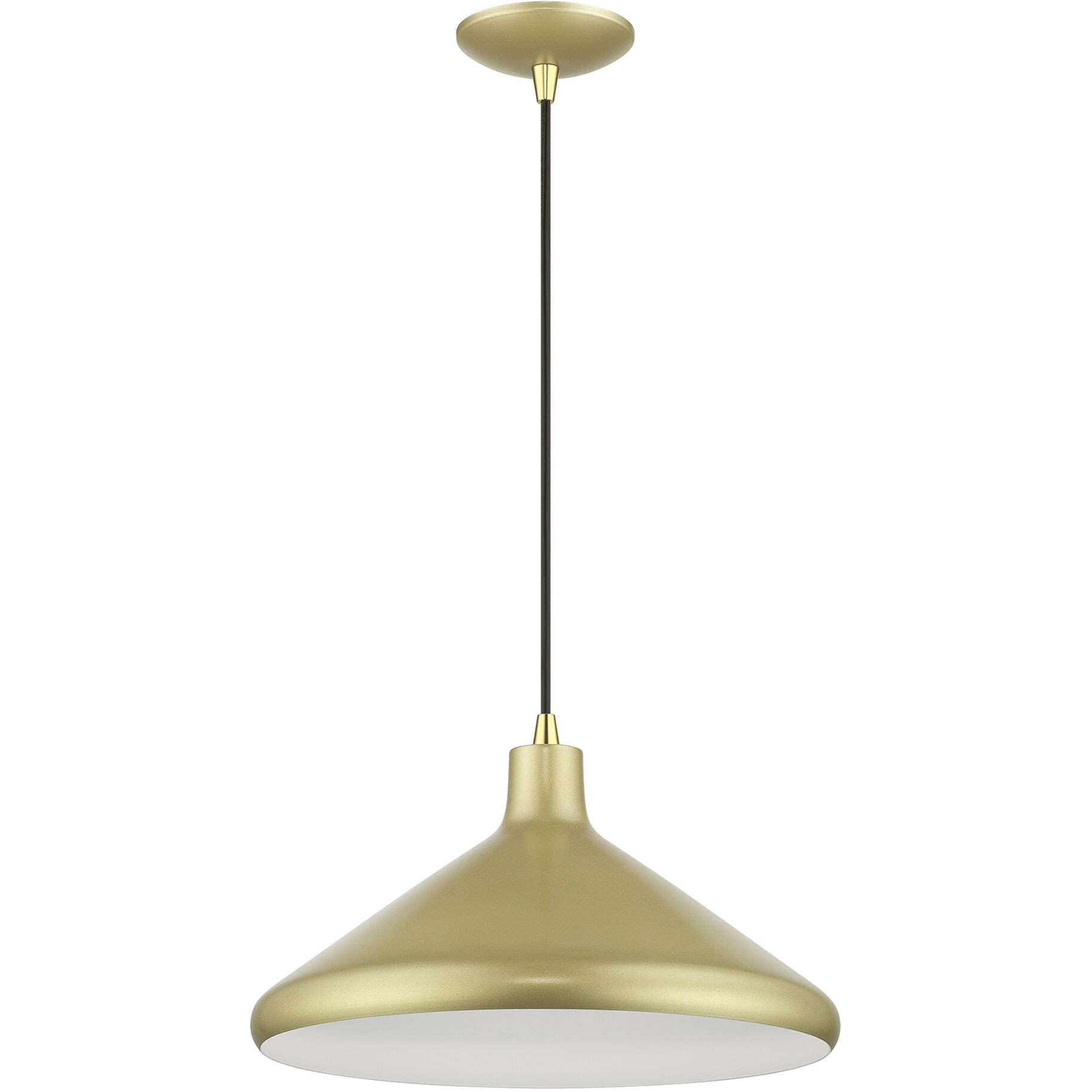Geneva 1 Light 15.25 inch Soft Gold with Polished Brass Accents Pendant Ceiling Light
