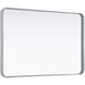 Remy 42 X 28 inch Silver Mirror