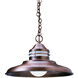 Newport 1 Light 17 inch Rustic Brown Pendant Ceiling Light in Amber Mica