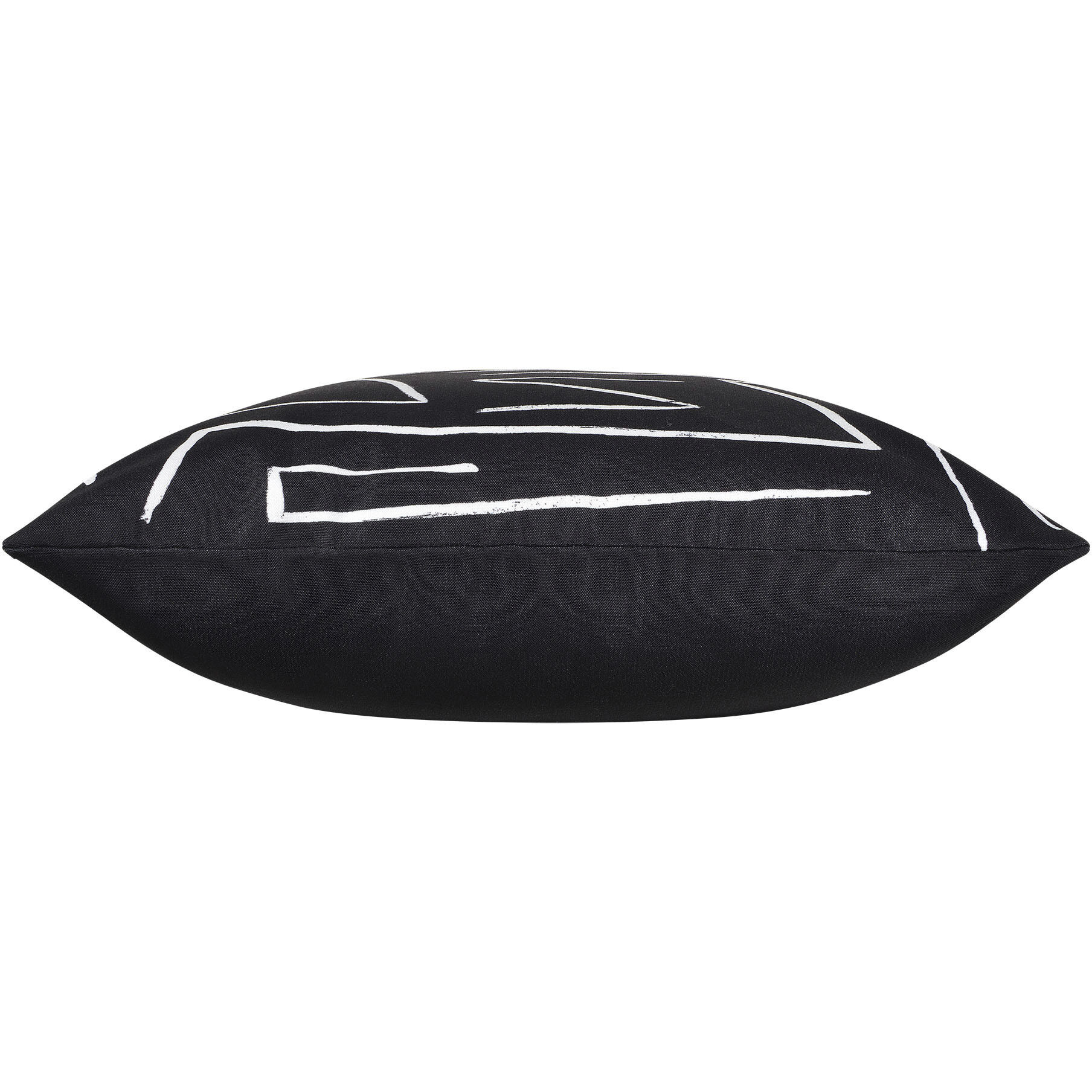 Ray 22 inch Black and White Indoor Pillow