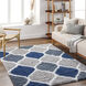 Urban Shag 123 X 94 inch Light Gray Rug, Rectangle