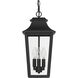 Spring Cove 3 Light 8 inch Matte Black Outdoor Pendant, Large