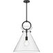 Alora Mood Emerson Pendant Ceiling Light in Matte Black, Clear Glass