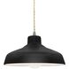Radiance LED 11.5 inch Carbon Matte Black and Brushed Nickel Pendant Ceiling Light