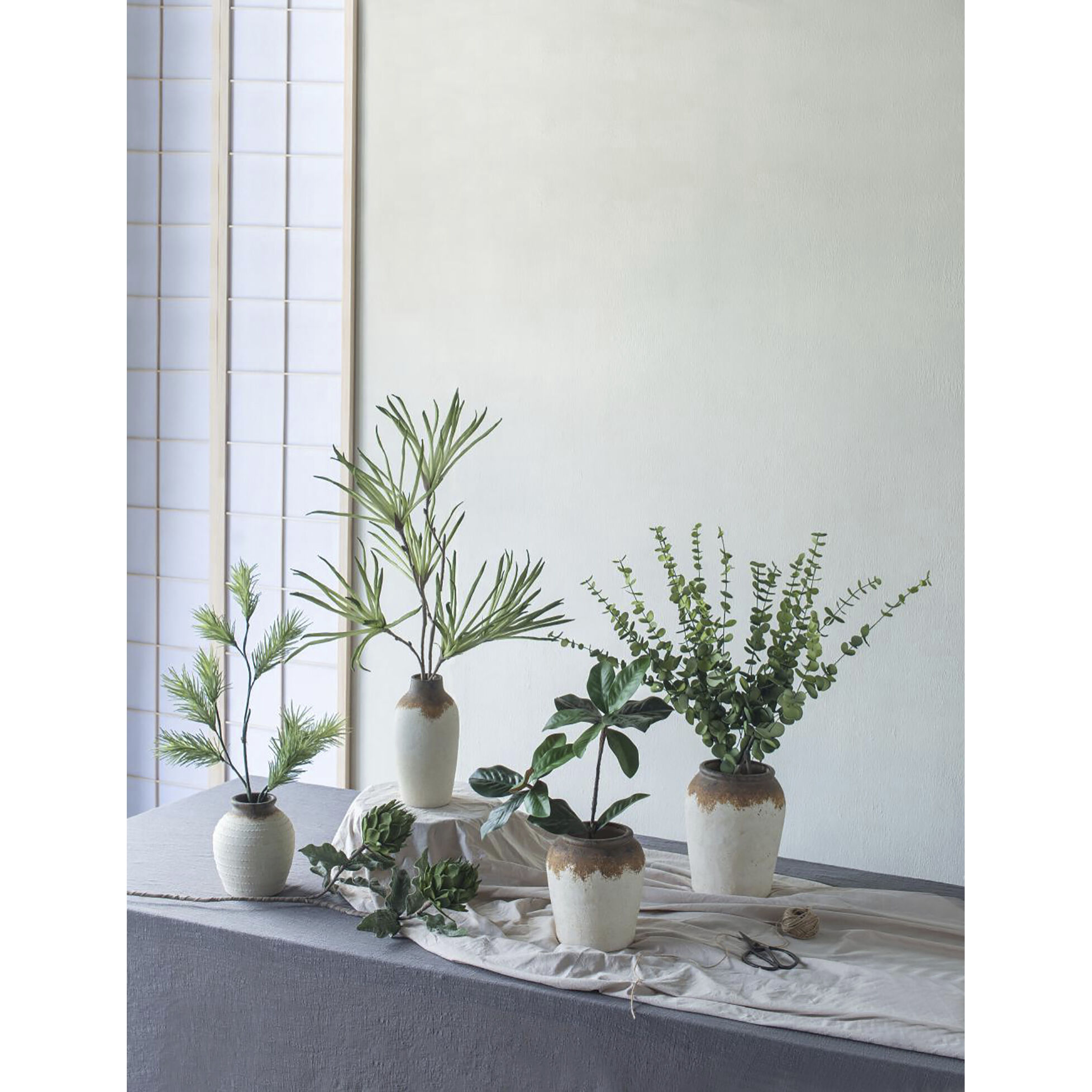 Eucalyptus Stem Green Botanical