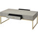 Les Revoires 48 X 24 inch Gray with Gold Coffee Table