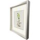 Treasure Parrot Blue and Green and Multi and Yellow Framed Art