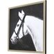 Animals Collection Black Framed Art