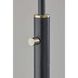 Dusk 62 inch 40.00 watt Black Floor Lamp Portable Light