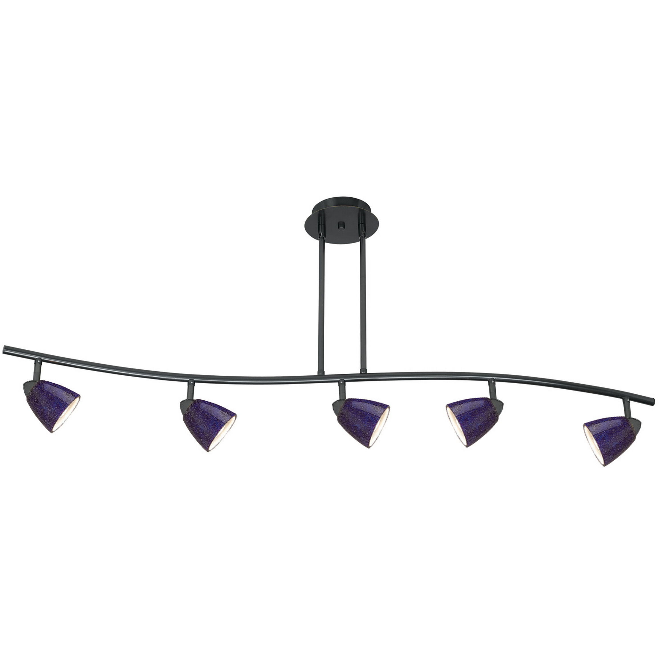 Serpentine 5 Light 120V Dark Bronze Rail Fixture Ceiling Light