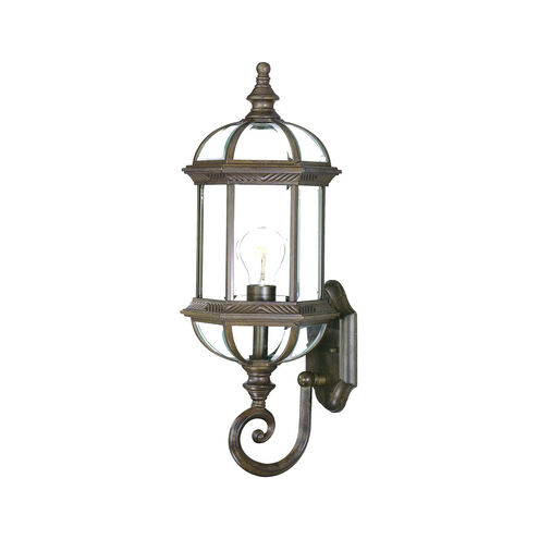 Dover 1 Light 22 inch Burled Walnut Exterior Wall Mount