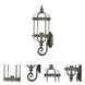 Dover 1 Light 22 inch Burled Walnut Exterior Wall Mount