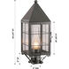 Ashford 1 Light 19.25 inch Gunmetal Post Lantern in Clear Glass, H Wire Pattern, Brass Traditions by Innovations Lighting