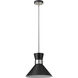 Soriano 1 Light 13.25 inch Matte Black and Brushed Nickel Pendant Ceiling Light