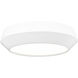 Quasars 1 Light 12.00 inch Flush Mount