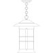 Newport 1 Light 13.75 inch Satin Black Pendant Ceiling Light in Gold White Iridescent