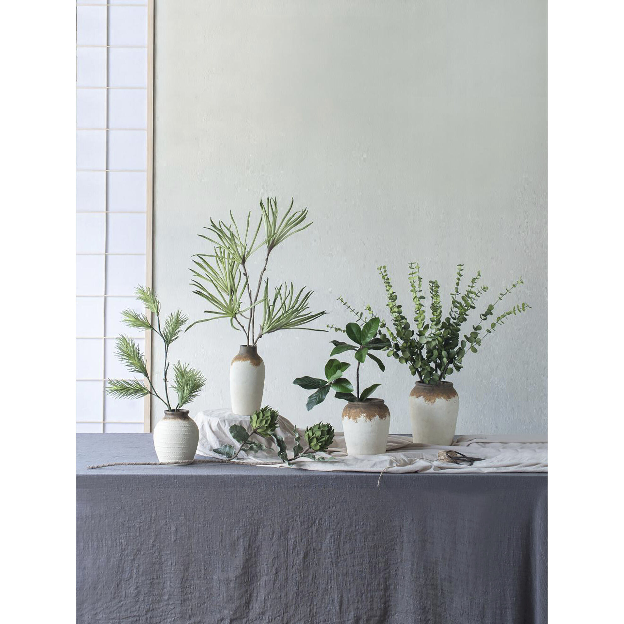 Eucalyptus Stem Green Botanical