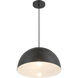 Vantage Pendants 1 Light 15.38 inch Coal Hanging Dome Ceiling Light