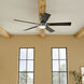 Lucian 60 inch Polished Nickel with Black/Silver Blades Ceiling Fan