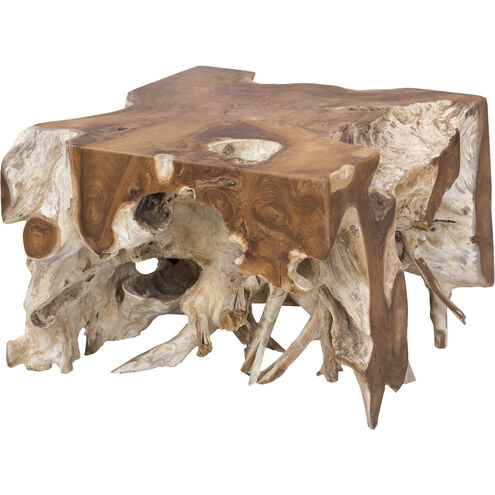 Root 24 X 23.25 inch Natural Coffee Table